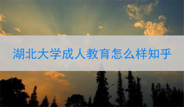 湖北大学成人教育怎么样知乎