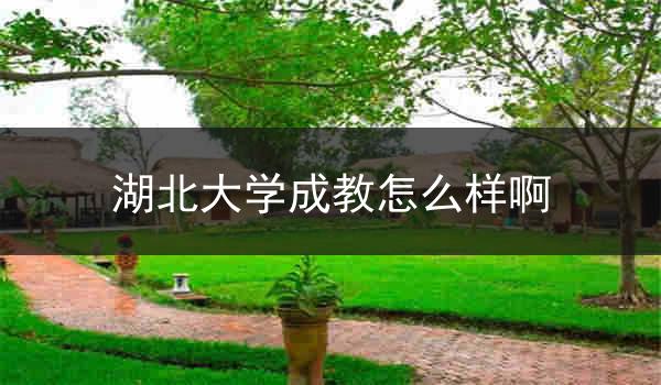 湖北大学成教怎么样啊
