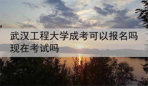 武汉工程大学成考可以报名吗现在考试吗