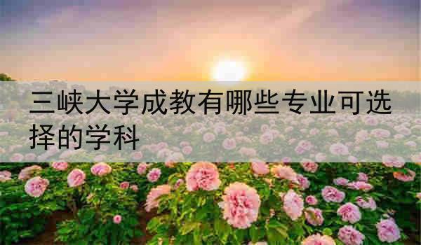 三峡大学成教有哪些专业可选择的学科