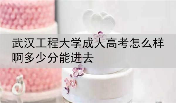 武汉工程大学成人高考怎么样啊多少分能进去