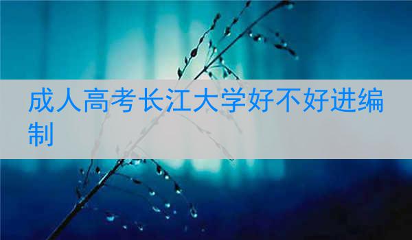 成人高考长江大学好不好进编制