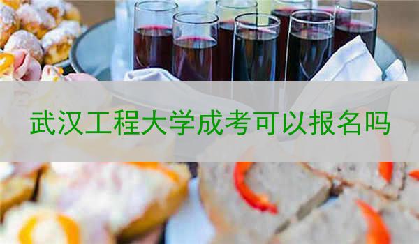 武汉工程大学成考可以报名吗