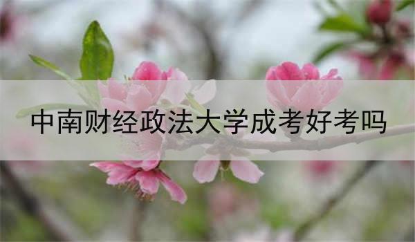 中南财经政法大学成考好考吗
