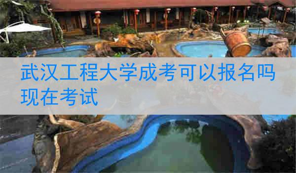 武汉工程大学成考可以报名吗现在考试