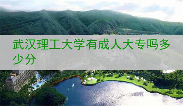 武汉理工大学有成人大专吗多少分