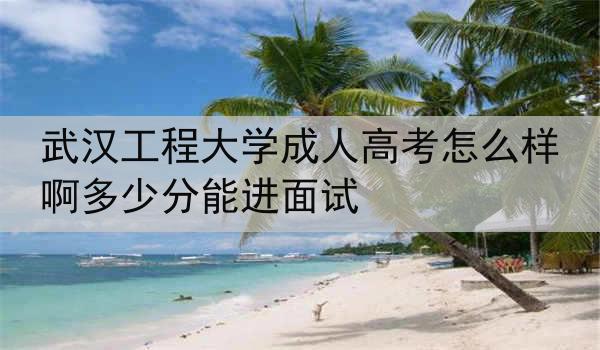 武汉工程大学成人高考怎么样啊多少分能进面试