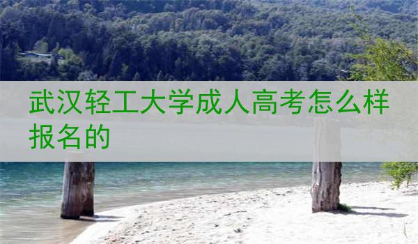 武汉轻工大学成人高考怎么样报名的