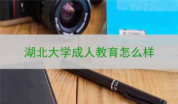 湖北大学成人教育怎么样