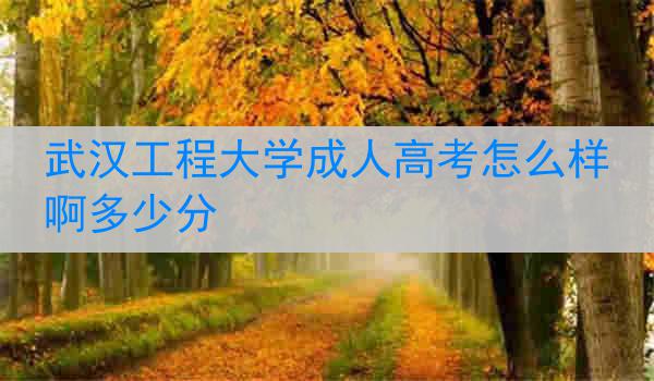 武汉工程大学成人高考怎么样啊多少分