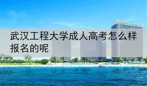 武汉工程大学成人高考怎么样报名的呢