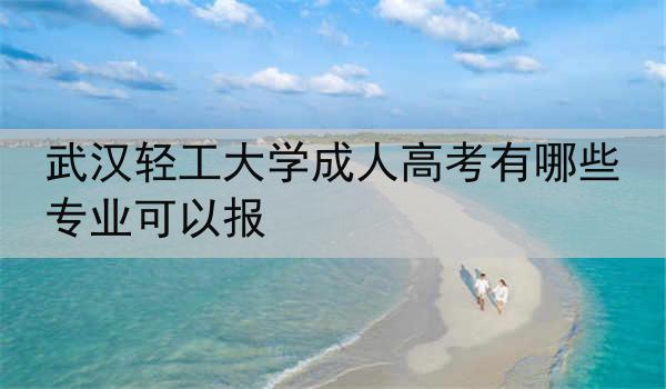 武汉轻工大学成人高考有哪些专业可以报