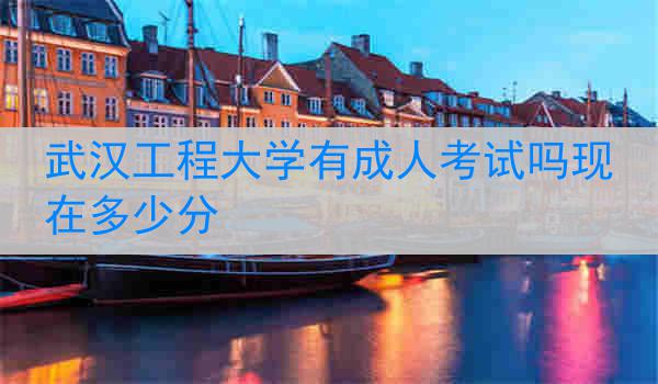 武汉工程大学有成人考试吗现在多少分