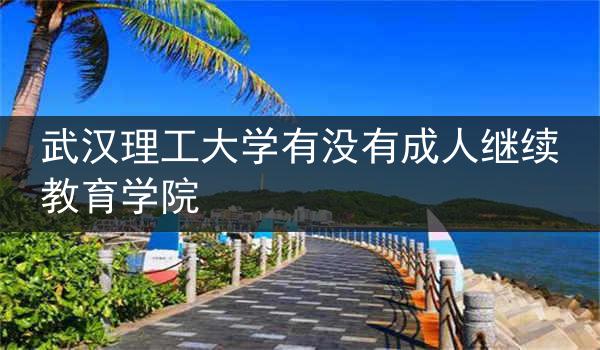 武汉理工大学有没有成人继续教育学院
