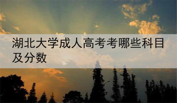 湖北大学成人高考考哪些科目及分数