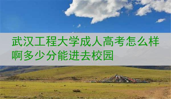 武汉工程大学成人高考怎么样啊多少分能进去校园