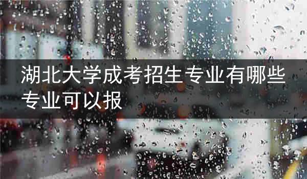 湖北大学成考招生专业有哪些专业可以报