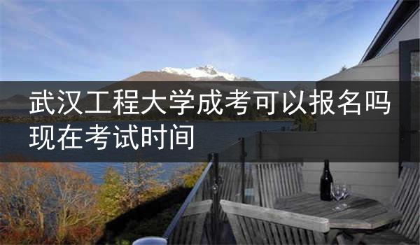 武汉工程大学成考可以报名吗现在考试时间