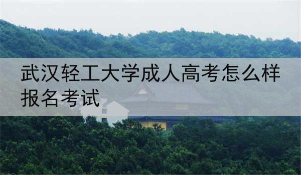 武汉轻工大学成人高考怎么样报名考试