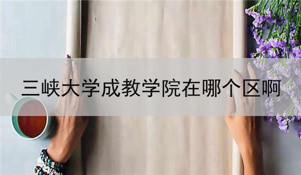 三峡大学成教学院在哪个区啊