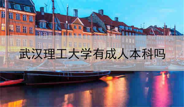 武汉理工大学有成人本科吗