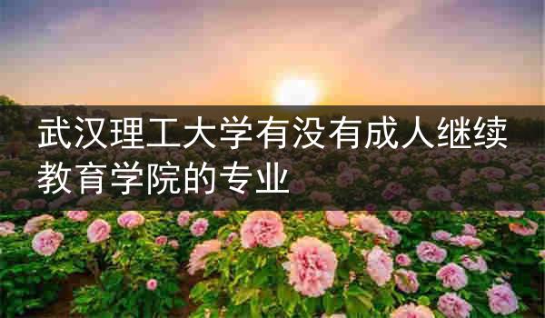 武汉理工大学有没有成人继续教育学院的专业