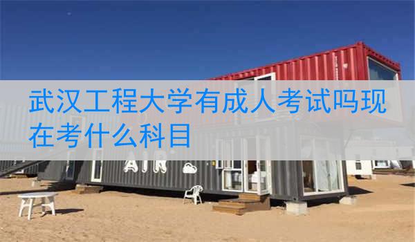 武汉工程大学有成人考试吗现在考什么科目