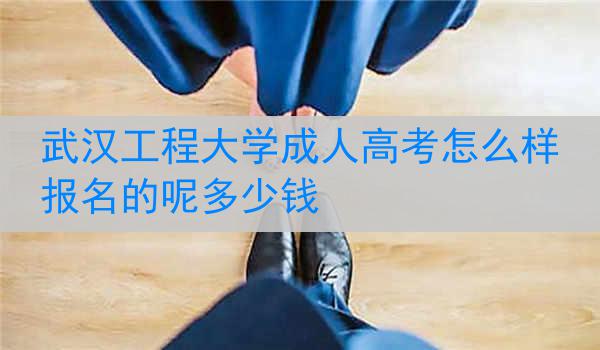 武汉工程大学成人高考怎么样报名的呢多少钱