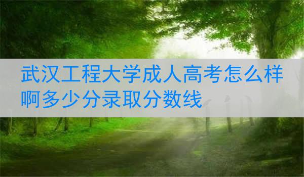 武汉工程大学成人高考怎么样啊多少分录取分数线