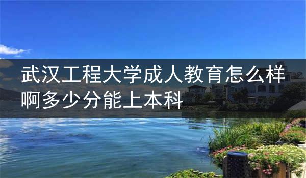 武汉工程大学成人教育怎么样啊多少分能上本科