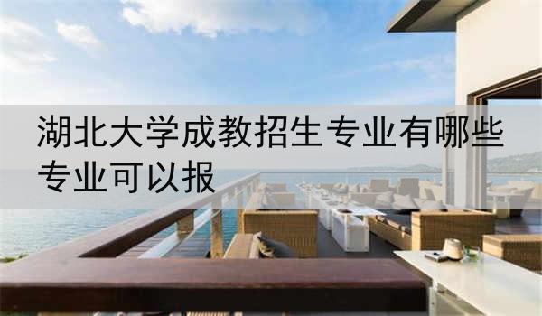 湖北大学成教招生专业有哪些专业可以报