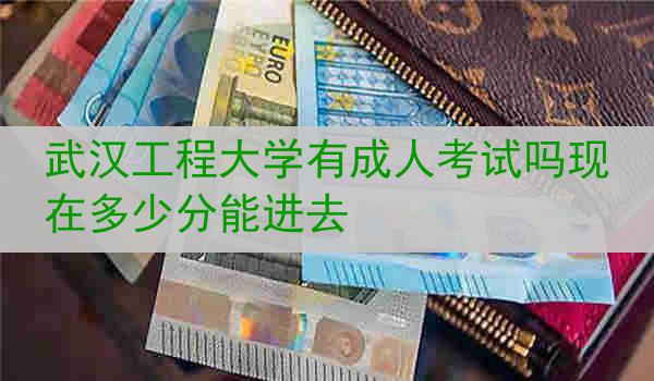 武汉工程大学有成人考试吗现在多少分能进去