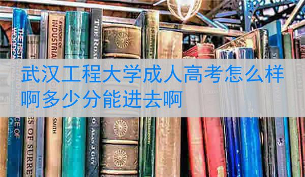 武汉工程大学成人高考怎么样啊多少分能进去啊