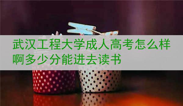 武汉工程大学成人高考怎么样啊多少分能进去读书