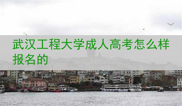 武汉工程大学成人高考怎么样报名的