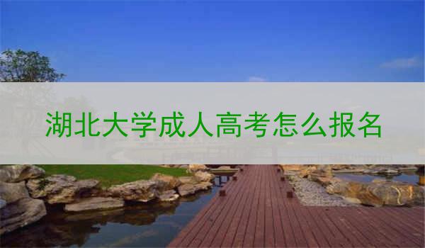 湖北大学成人高考怎么报名