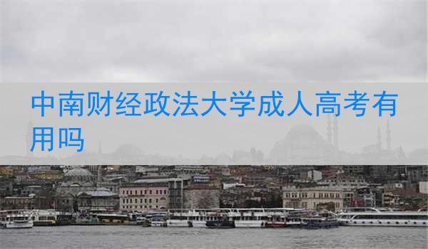 中南财经政法大学成人高考有用吗