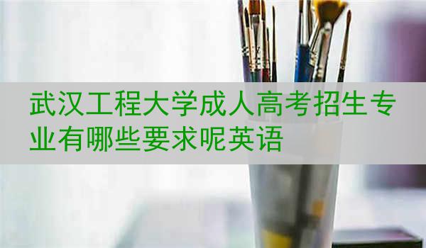 武汉工程大学成人高考招生专业有哪些要求呢英语