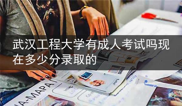 武汉工程大学有成人考试吗现在多少分录取的