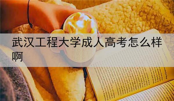 武汉工程大学成人高考怎么样啊