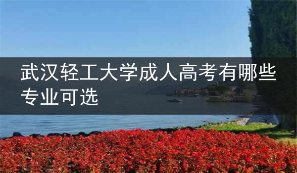 武汉轻工大学成人高考有哪些专业可选