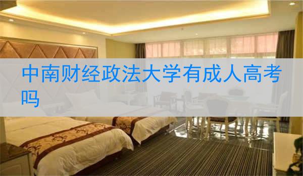 中南财经政法大学有成人高考吗