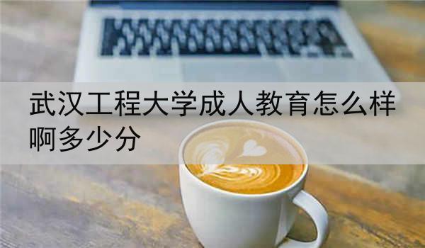 武汉工程大学成人教育怎么样啊多少分