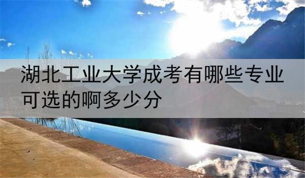 湖北工业大学成考有哪些专业可选的啊多少分