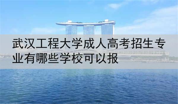 武汉工程大学成人高考招生专业有哪些学校可以报