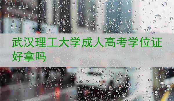 武汉理工大学成人高考学位证好拿吗