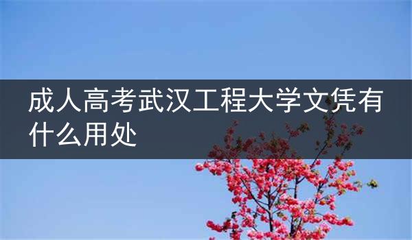 成人高考武汉工程大学文凭有什么用处