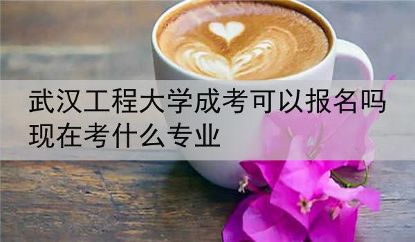 武汉工程大学成考可以报名吗现在考什么专业