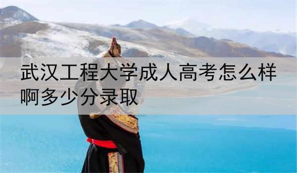武汉工程大学成人高考怎么样啊多少分录取
