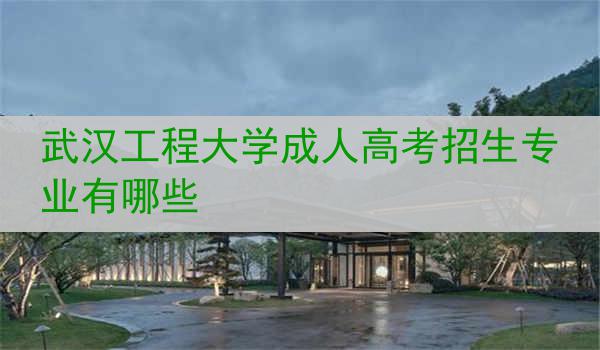 武汉工程大学成人高考招生专业有哪些